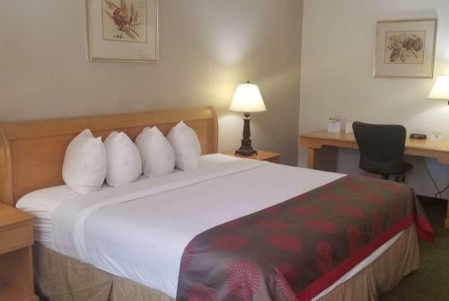 Hotel Ramada Inn And Conference Center