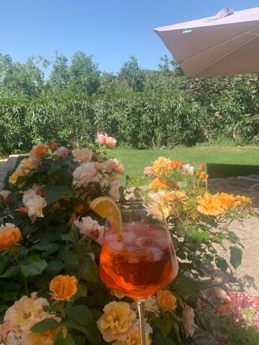 Agroturismo Villa Santa Margherita