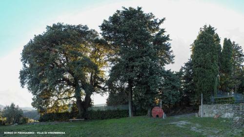 [cottage Panoramico] Villa Vinombrosa ?????