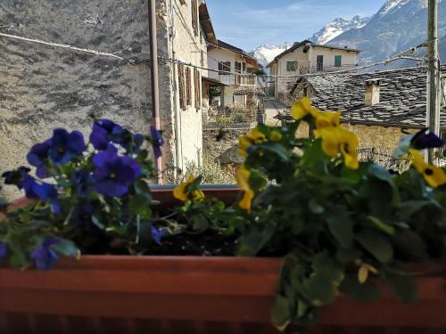 Apartamento San Carlo