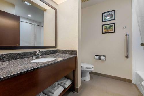 Hotel Comfort Suites Lafayette