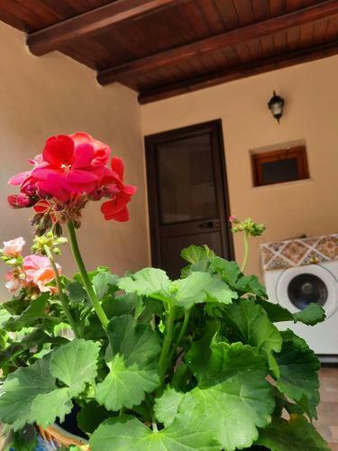 La Sicilia In Casa
