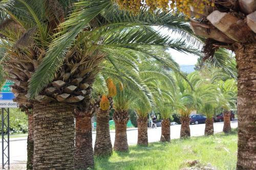 Apartamentos Villa-g Herceg-novi