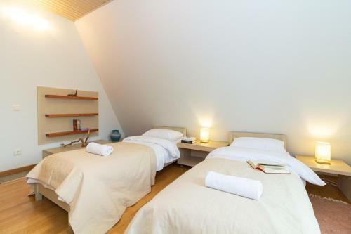-v66- Apartment, By Cohost