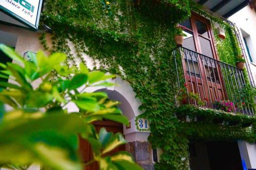Blue House Terrace And Balcony