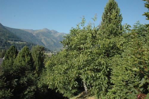 Apartamento Appartement Haus Moser
