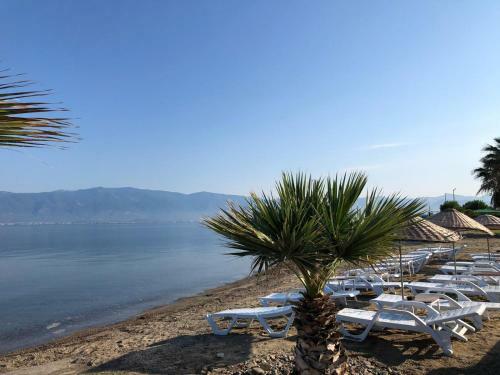 Hotel Afytos �ren Park Mtk