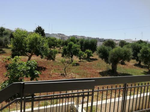 Casa Dori