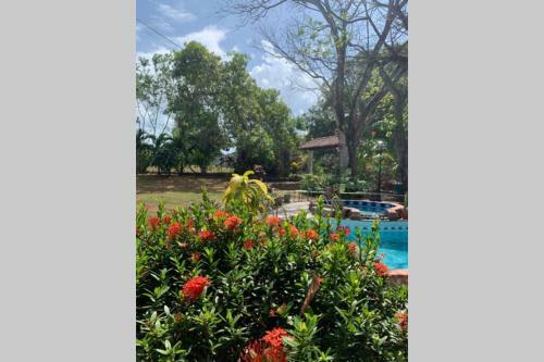 La Canela Beach Cottage, 5 Minute Walk To Beach