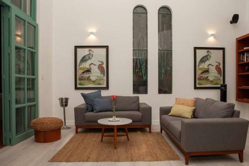 Pico Rojo Rent House