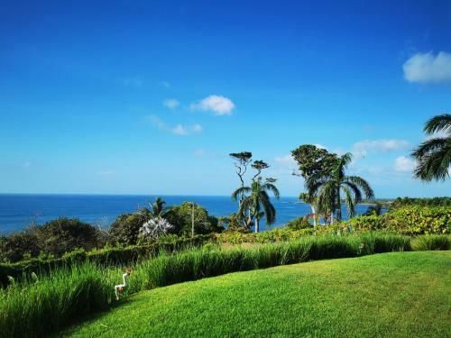 Bed & Breakfast Ocean Breeze Cove - Luxury Retreat