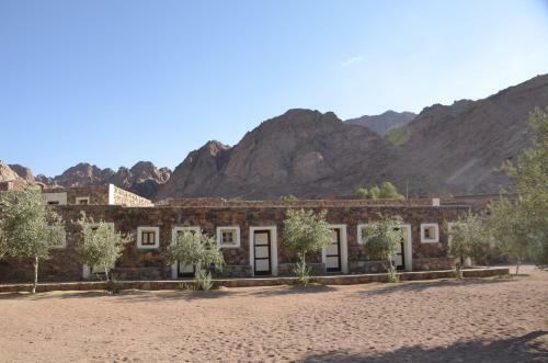 Hotel Sheikh Mousa Bedouin Camp