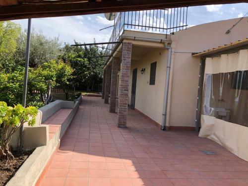 Carrubo - Giardino In Citt�