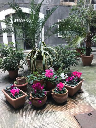 Apartamento Elegante Appartamento Centro Storico