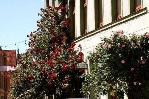 Hostal Hotel Reingard