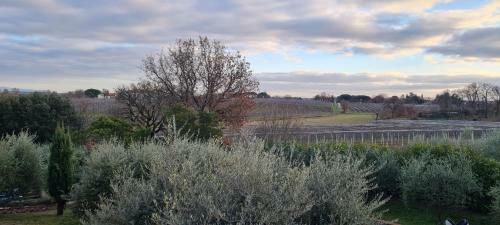 Hostal Alloggio Gli Scoiattoli