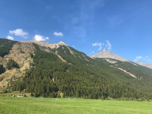 Apartamento Il Pino Cembro