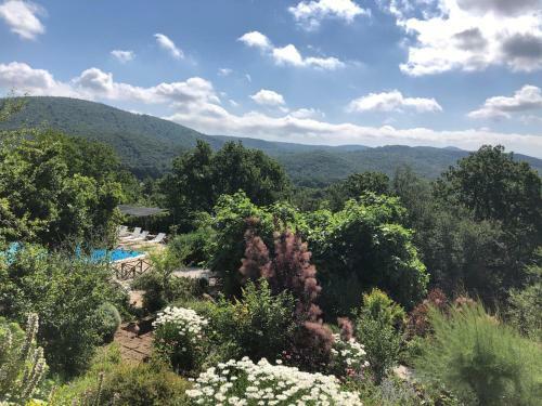 Bed & Breakfast Agriturismo Poggio Le Stalle