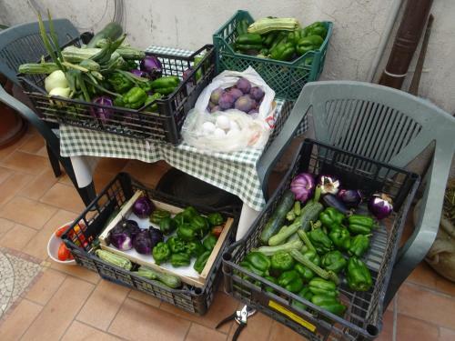 La Bottega Del Fabbro Affitto Breve