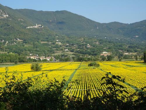 La Bottega Del Fabbro Affitto Breve