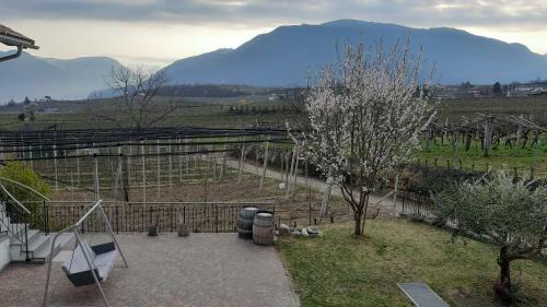 Apartamento Fasslhof