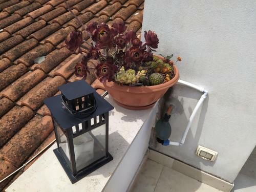 Lovely Stone House Conversano Puglia