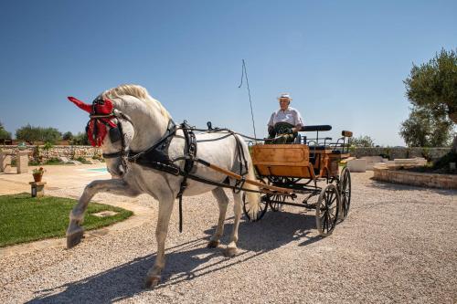 Agroturismo Terra Terra - Masseria Minunni