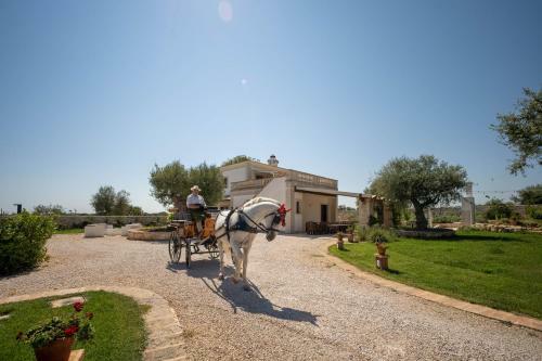 Agroturismo Terra Terra - Masseria Minunni