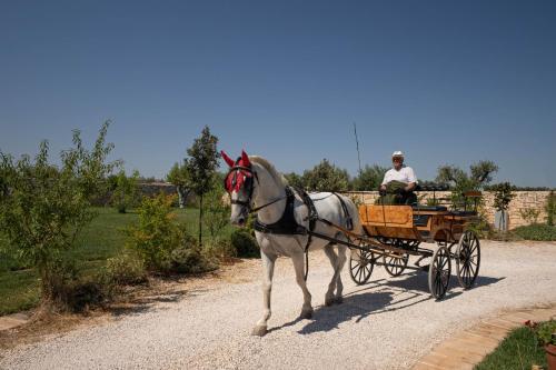 Agroturismo Terra Terra - Masseria Minunni