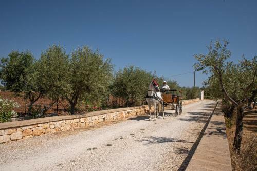 Agroturismo Terra Terra - Masseria Minunni