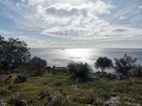 Apartamento Villa Puce