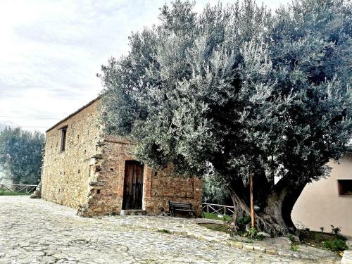 Agriturismo Silipetto