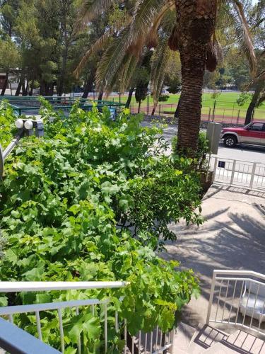 Apartments With A Parking Space Makarska - 16521