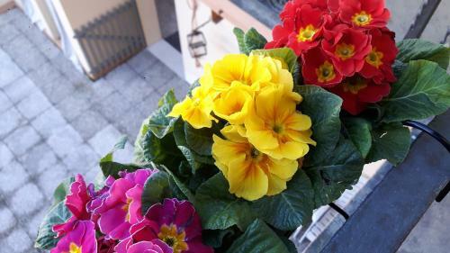 Apartamento At Home In Cremona