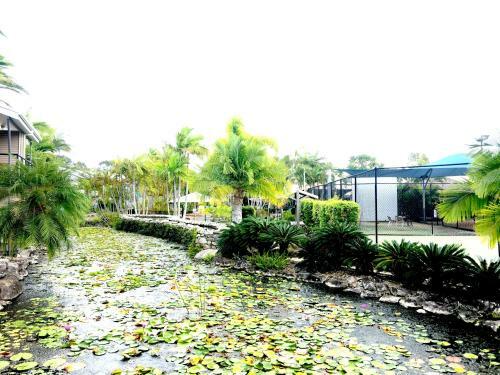 Apartment In 4* Resort - Pool Views - Great Location