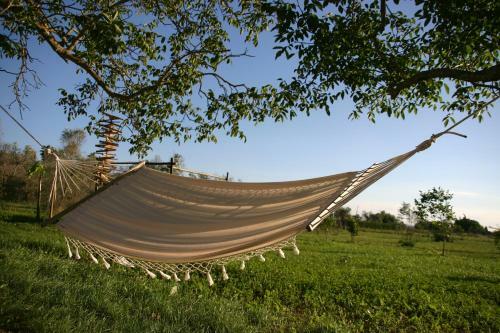 Bed & Breakfast I Fichi Bianchi