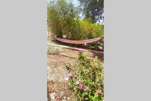 The Green House Down Town Preveza