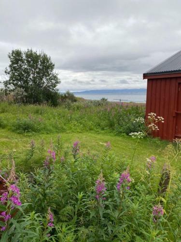 Bestemorhuset