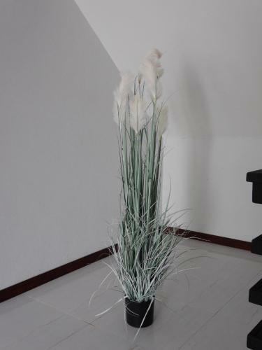 Hotel Phiphi Andaman Resort - Sha Extra Plus