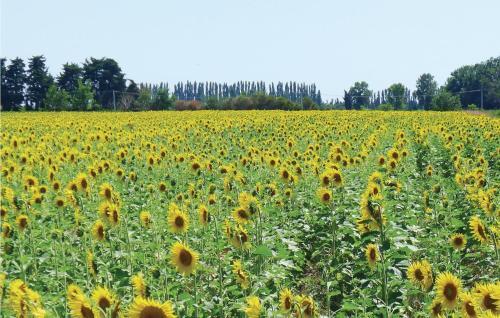 Four-bedroom Holiday Home In Uzes