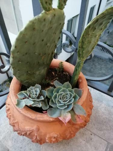 Apartamento A Casa Della Tata, Como Centro