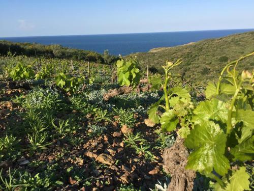 Bed & Breakfast Le Clos Saint Andr�