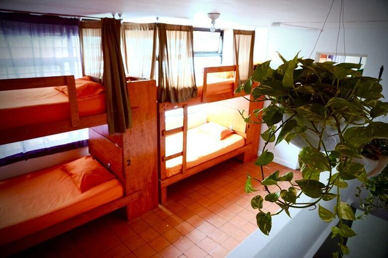 Blue Pepper Hostel Chapultepec