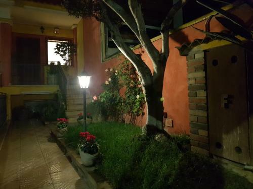 Hostal Grace Dell'isola Dei Coralli