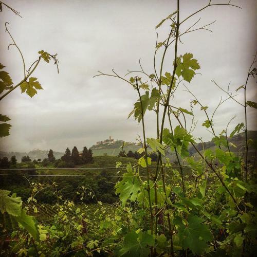 Agroturismo Cascina Maina