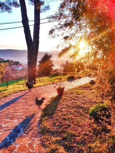 La Ginestra B&B