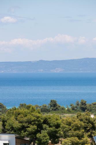 The Euphoria Club Luxury Villas