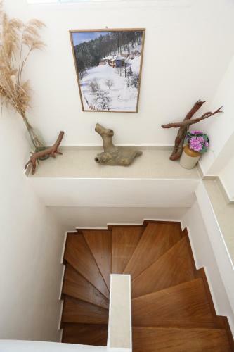 Villa Argo 3 - Beachfront, Big Gardens, Location!