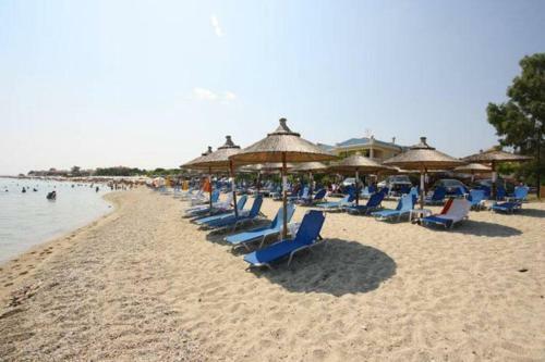 Theia Apartment In Pefkochori