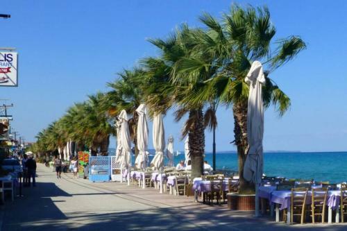 Theia Apartment In Pefkochori